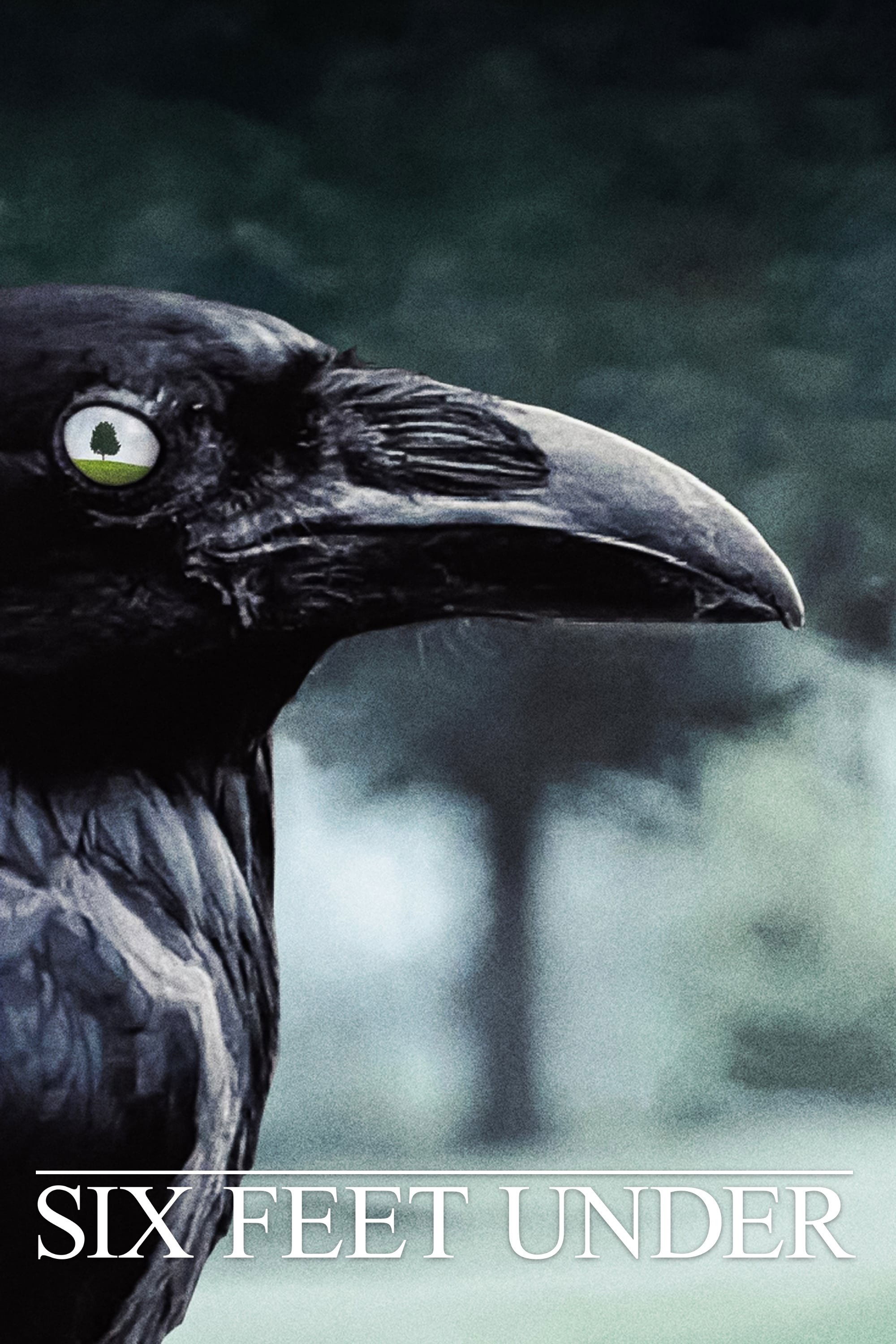 Six Feet Under - Season 4 [13534] (A1763981836) [[Shows]] --Plex--